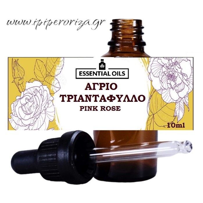 Άγριο Τριαντάφυλλο 10ml Άγριο Τριαντάφυλλο 10ml