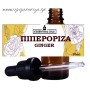 Πιπερόριζα 10 ml