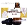 Τριαντάφυλλο 10 ml