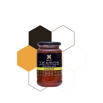 Μέλι Ανθέων Χελμός 480gr Μέλι Ανθέων Χελμός 480gr