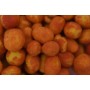 Tiger Nuts 
